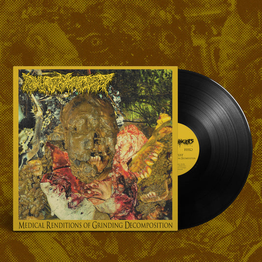 Pharmacist - Medical Renditions of Grinding Decomposition LP