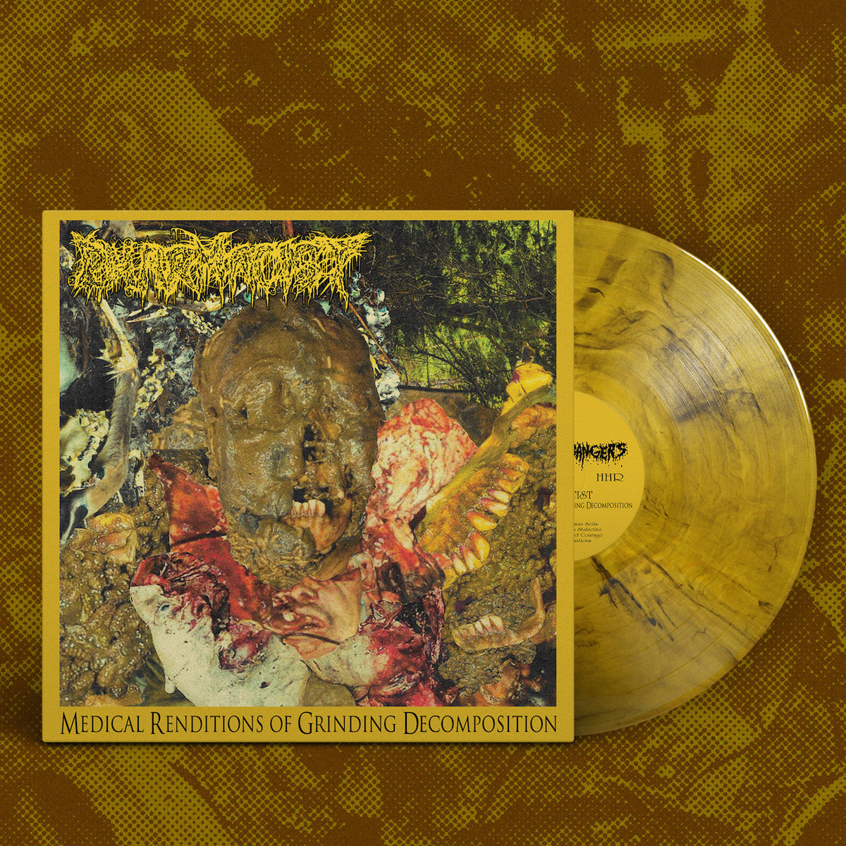 Pharmacist - Medical Renditions of Grinding Decomposition LP