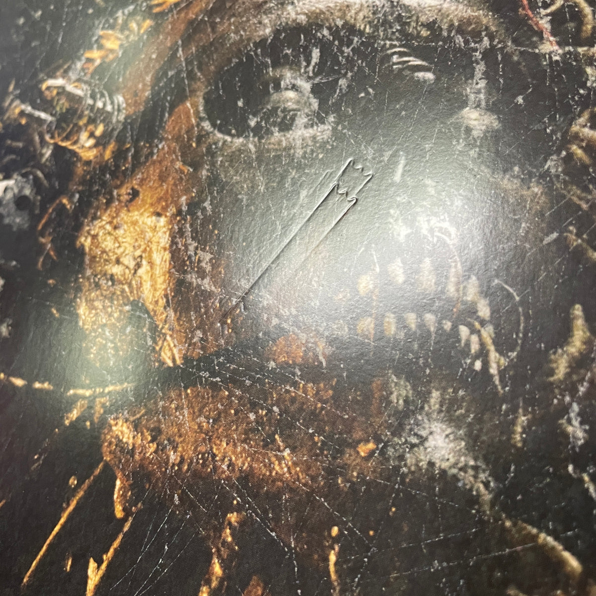 Caustic Wound – Grinding Mechanism of Torment LP (used)