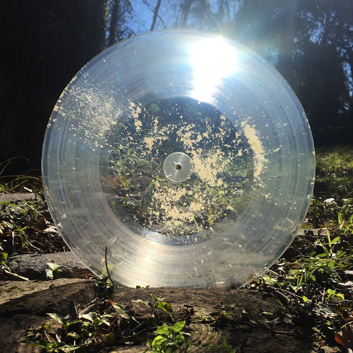 Gnaw Bone - Scorched Earth 12" EP