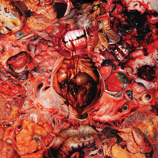 FesterDecay - From Demo to Rot LP