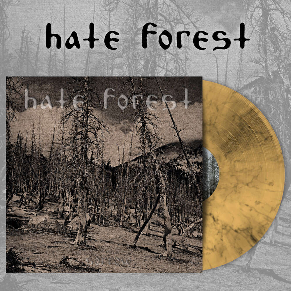 Hate Forest - Sorrow LP – Vinyl Command