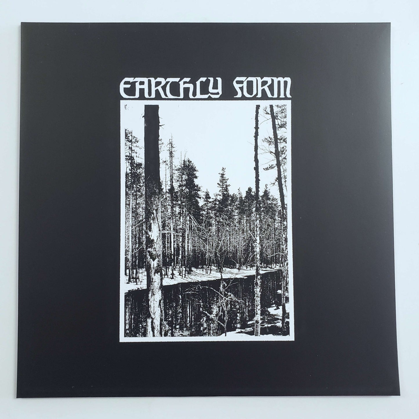 Earthly Form - s/t LP (used)