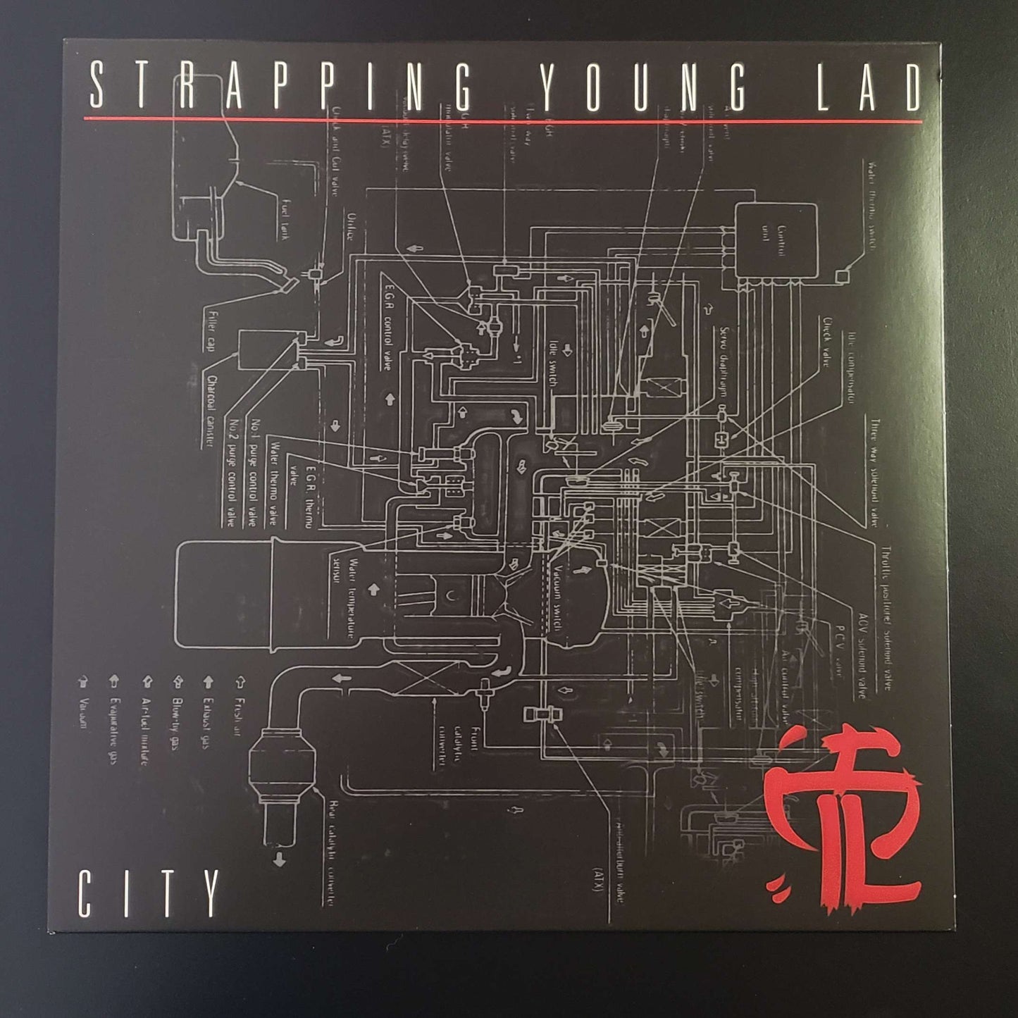 Strapping Young Lad - City LP (used)