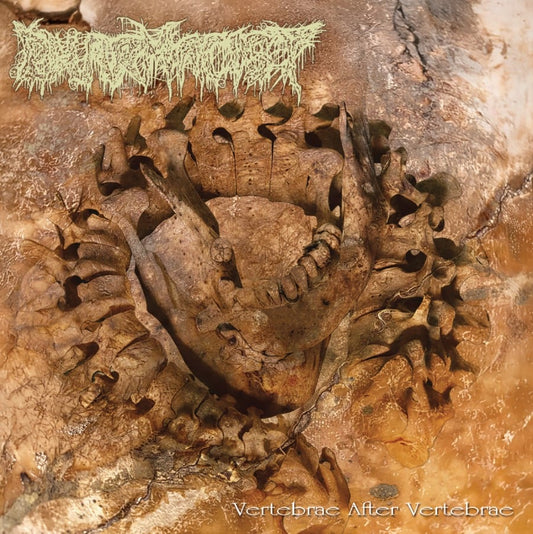Pharmacist - Vertebrae After Vertebrae LP