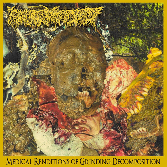 Pharmacist - Medical Renditions of Grinding Decomposition LP