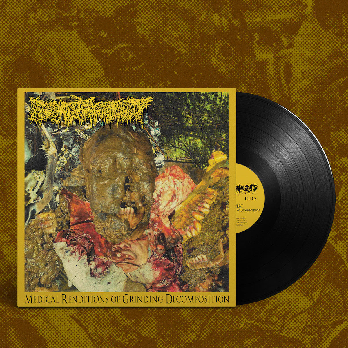 Pharmacist - Medical Renditions of Grinding Decomposition LP