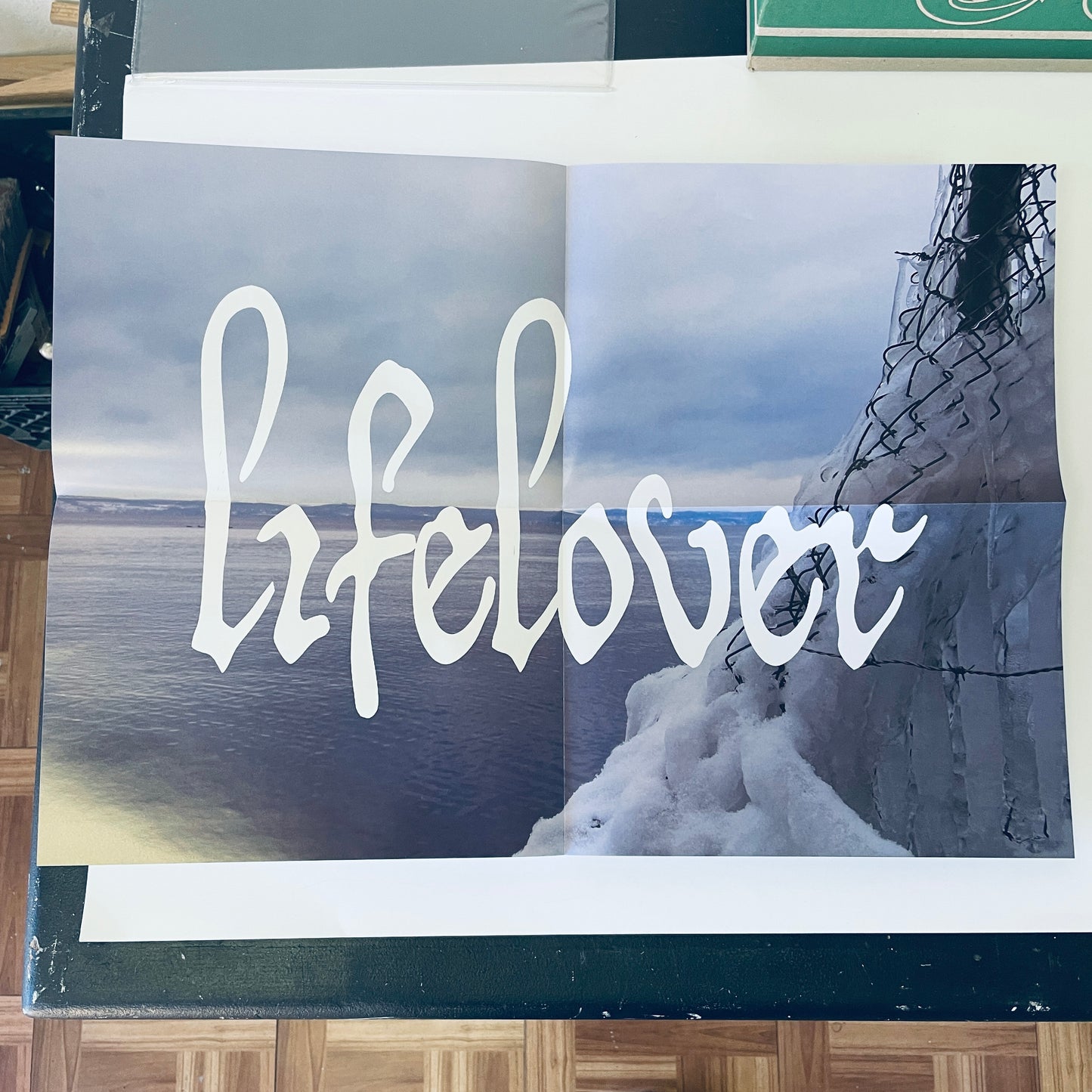 Lifelover - Konkurs double LP (used)