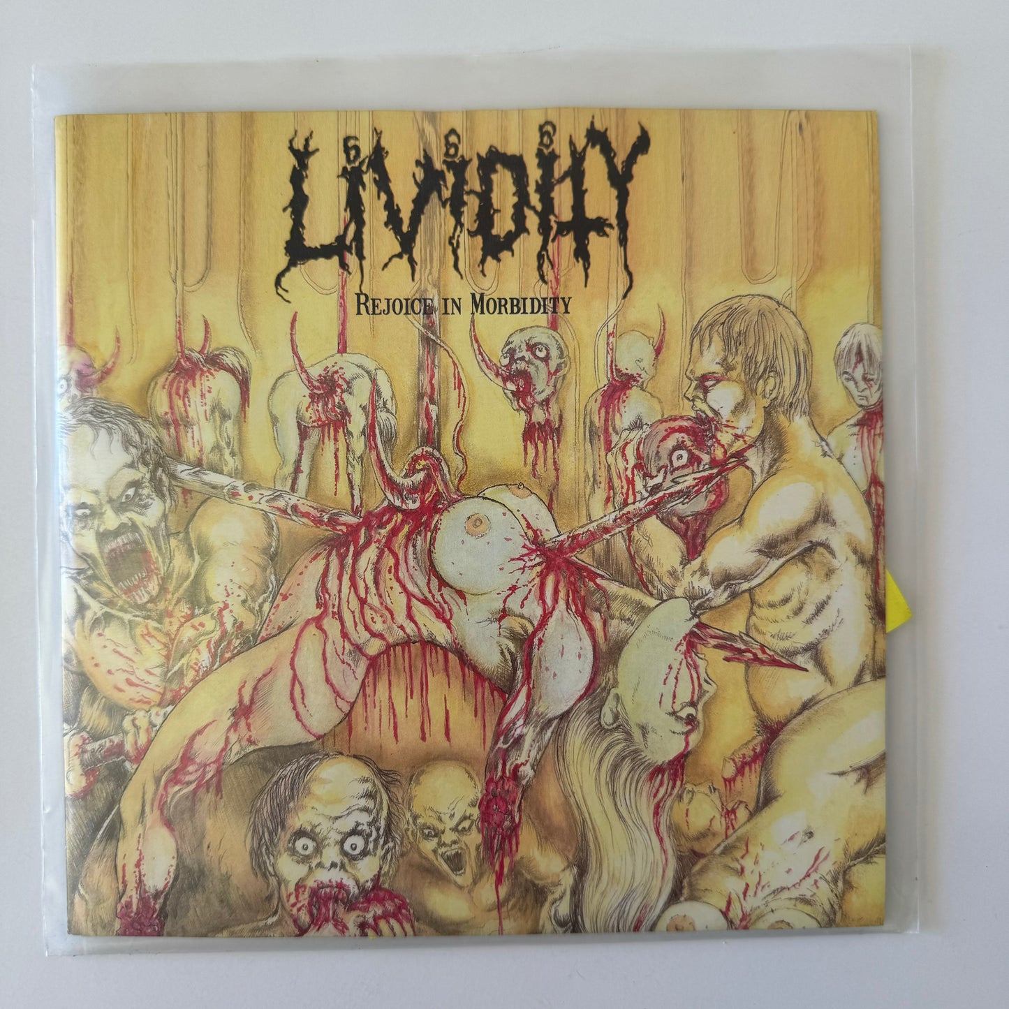 Lividity - Rejoice in Morbidity 7" EP (used)