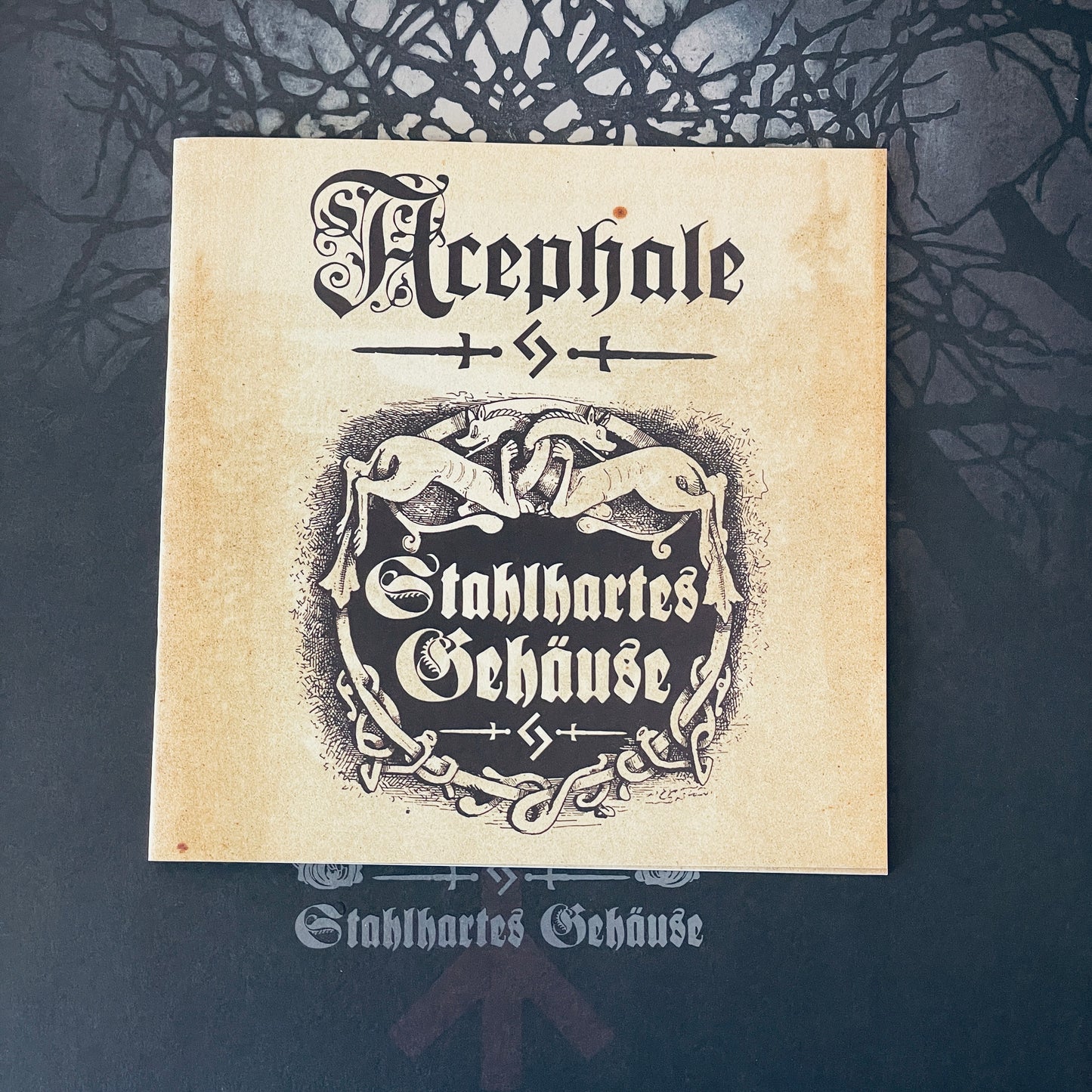 L'Acephale – Stahlhartes Gehäuse LP (used)