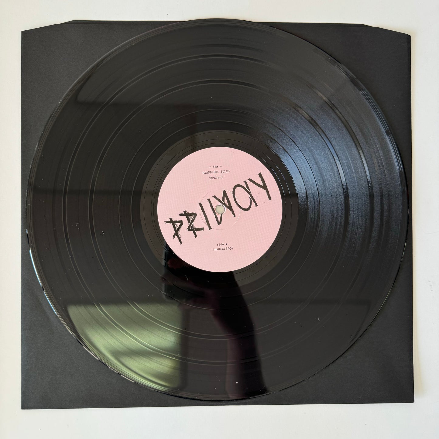 Raspberry Bulbs - Privacy LP (used)