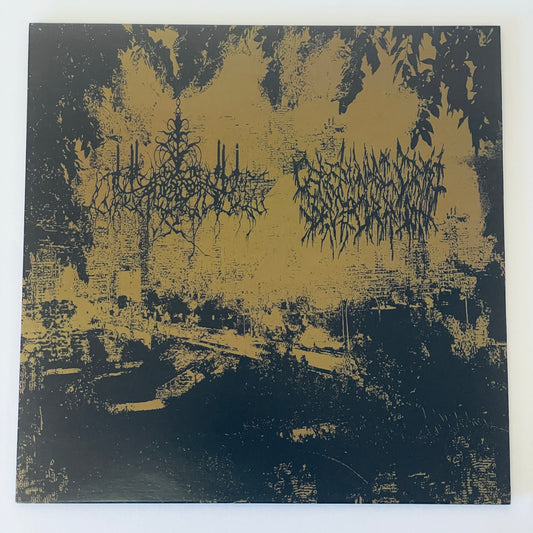 Calling of Phasmic Presence / Ceremonial Crypt Desecration – Calling of Phasmic Presence / Ceremonial Crypt Desecration LP (used)