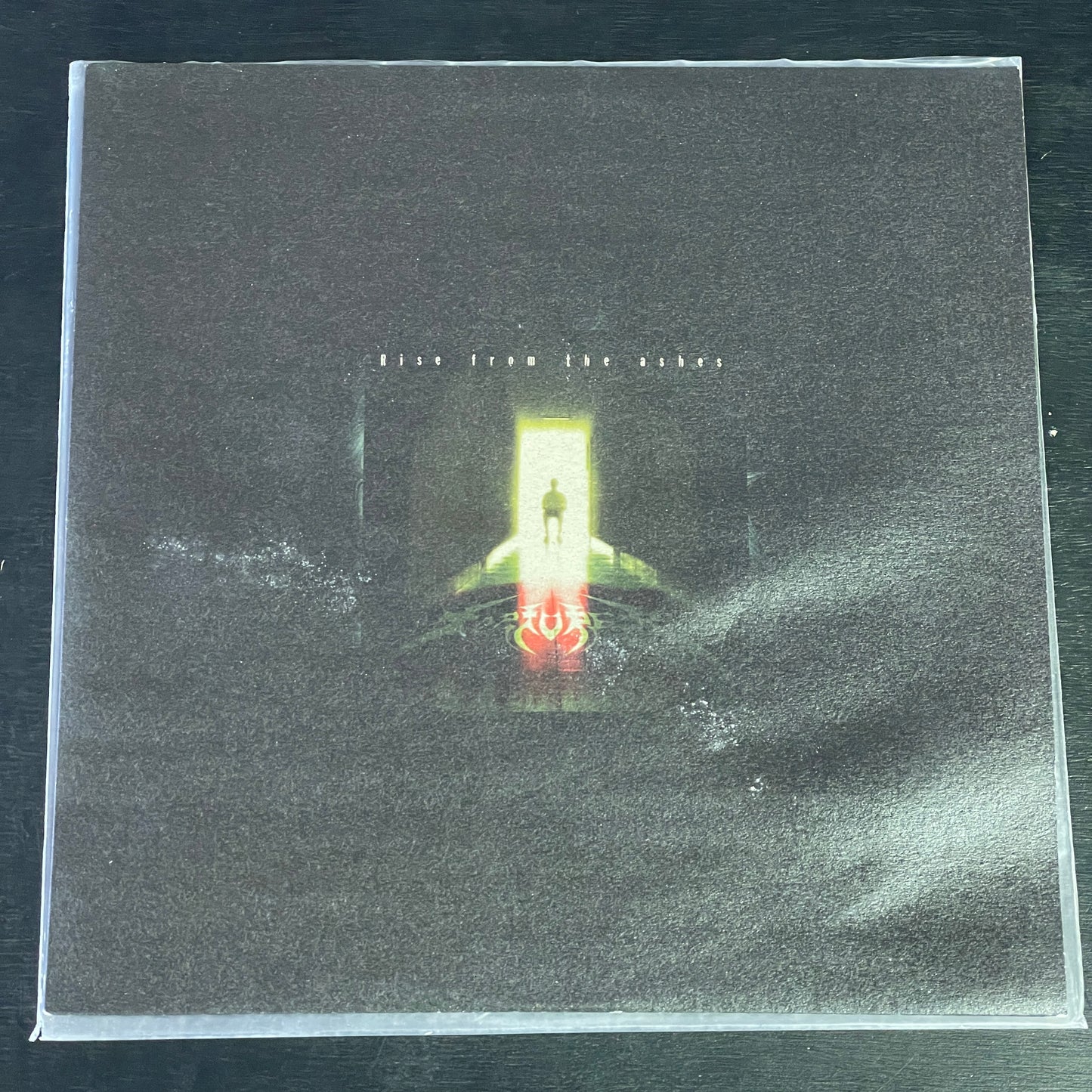 Torturer – Rise From The Ashes LP (used)