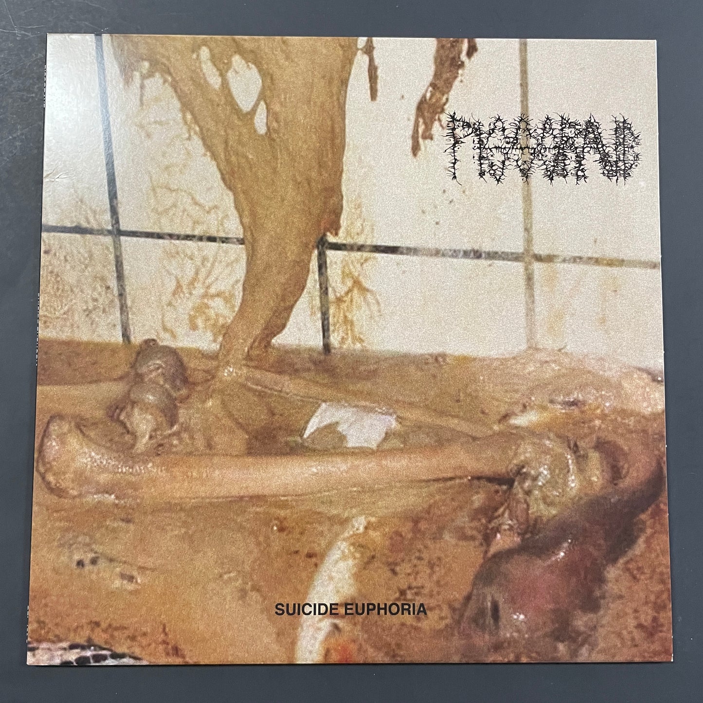 Pissgrave - Suicide Euphoria original LP (used)