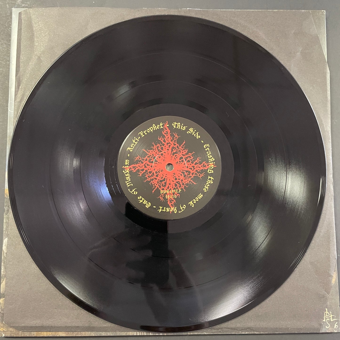 Ensnared - Dysangelium LP (used)
