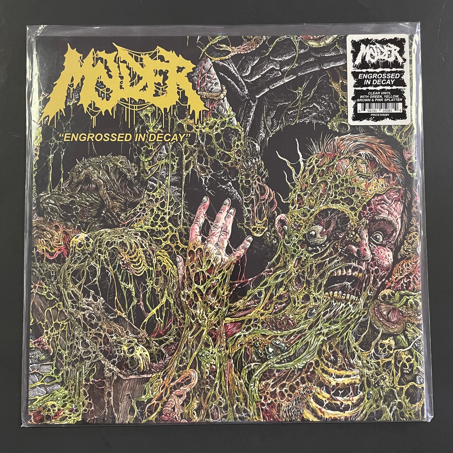 Molder - Engrossed in Decay LP (used)