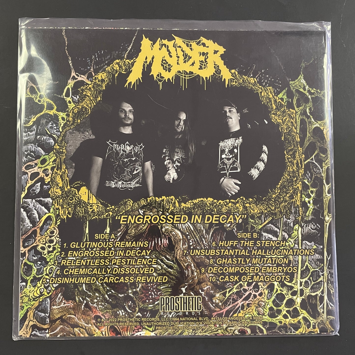 Molder - Engrossed in Decay LP (used)