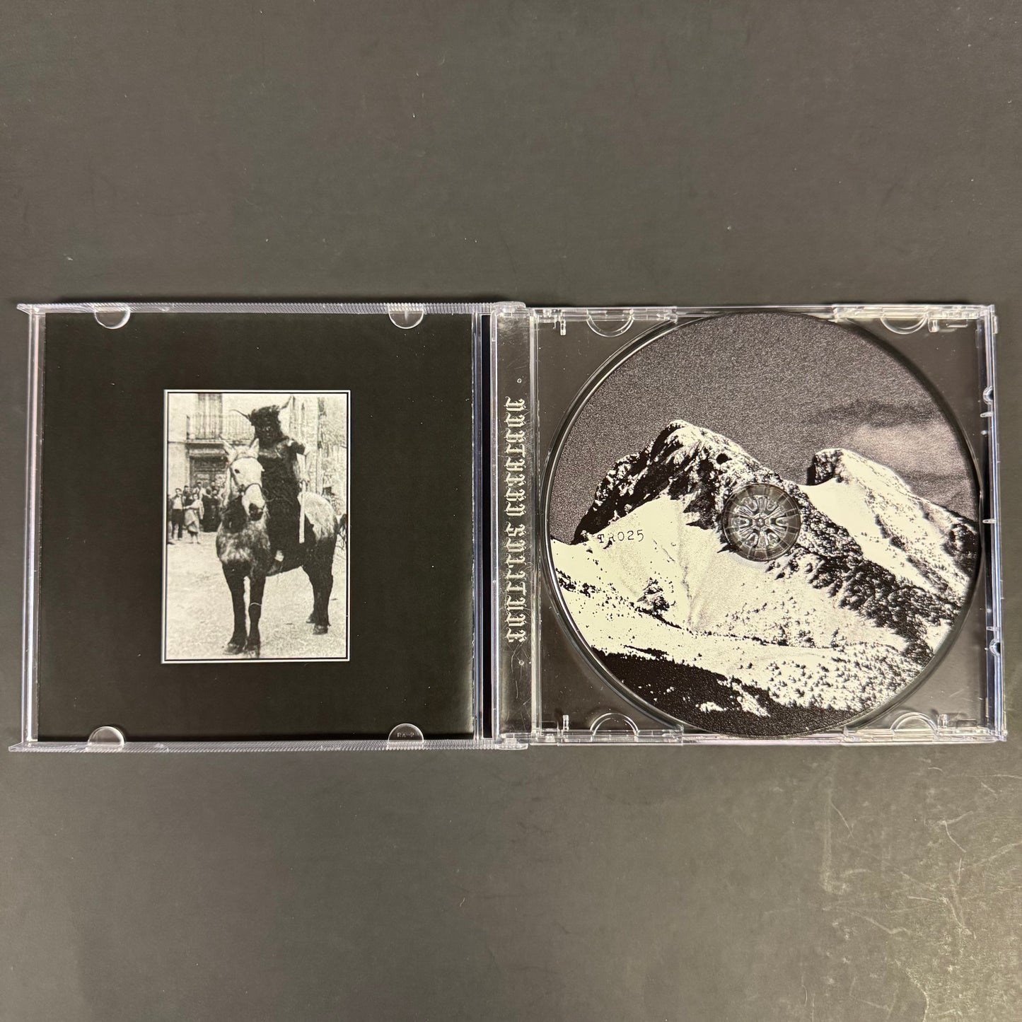 Northern Solitude - El Meu Cos Gelat Als Voltors CD (used)