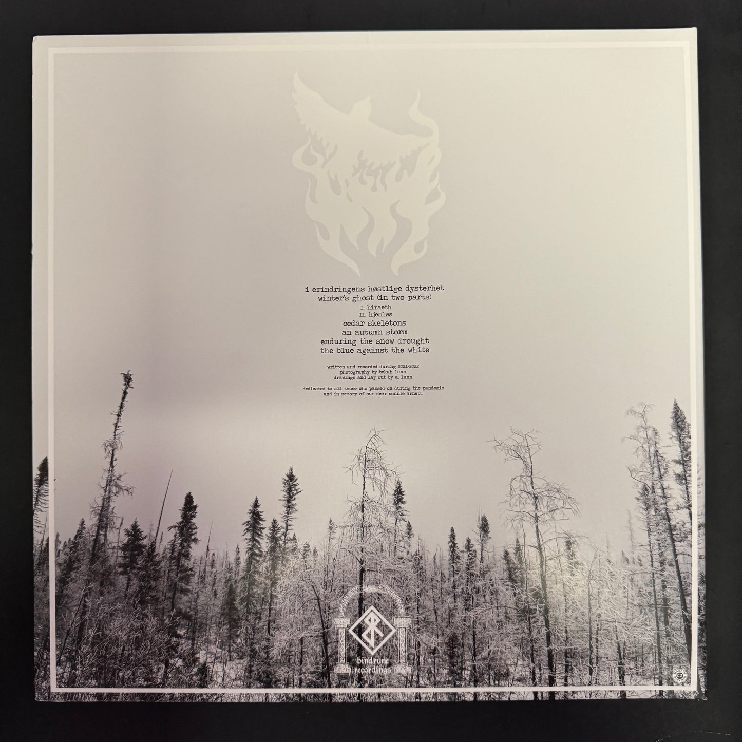 Panopticon - The Rime of Memory double LP (used)