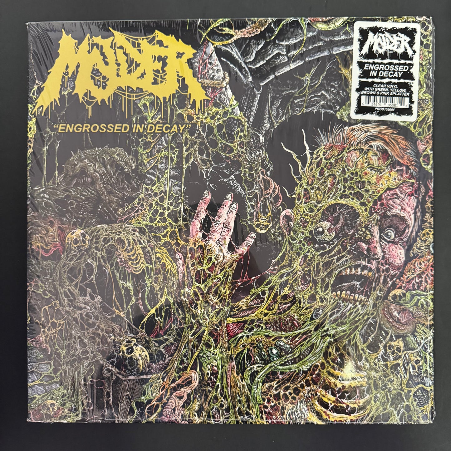 Molder - Engrossed in Decay LP (used)