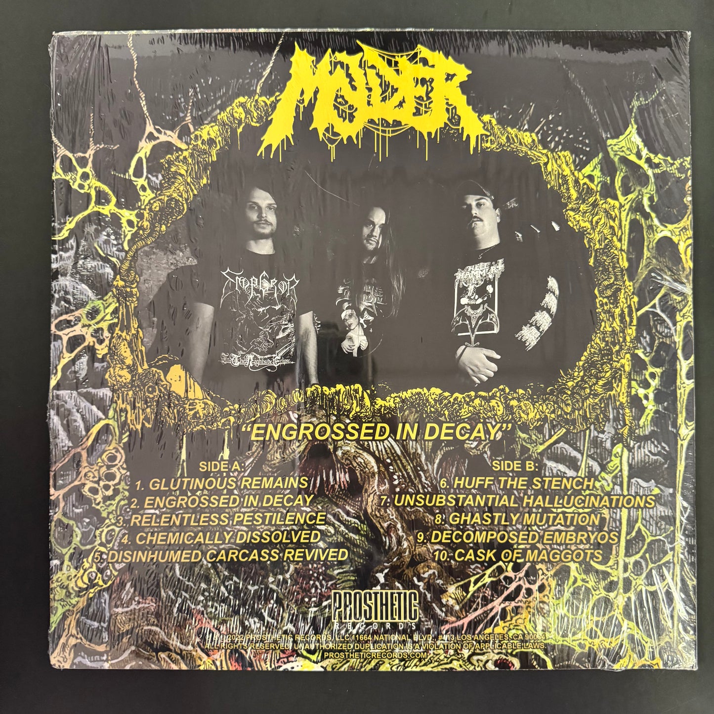 Molder - Engrossed in Decay LP (used)