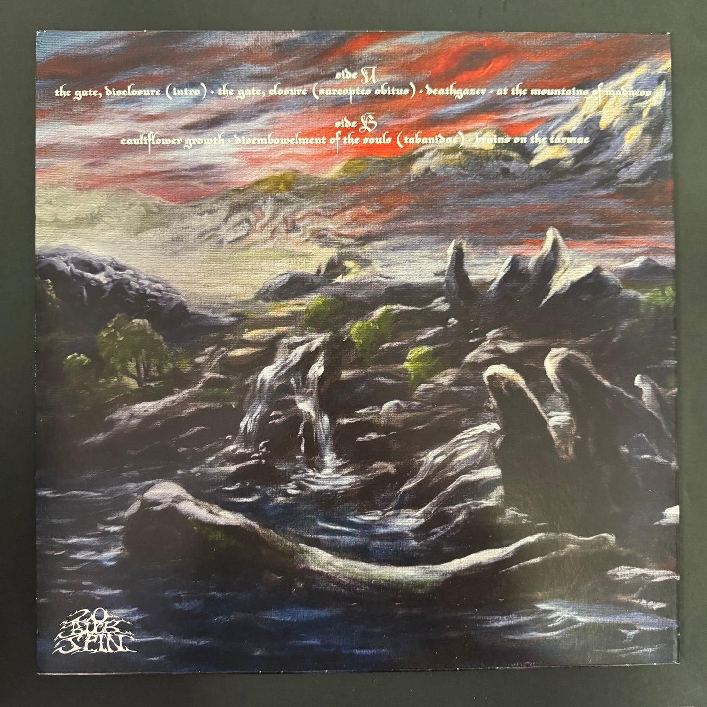 Bedsore - Hypnagogic Hallucinations LP (used)