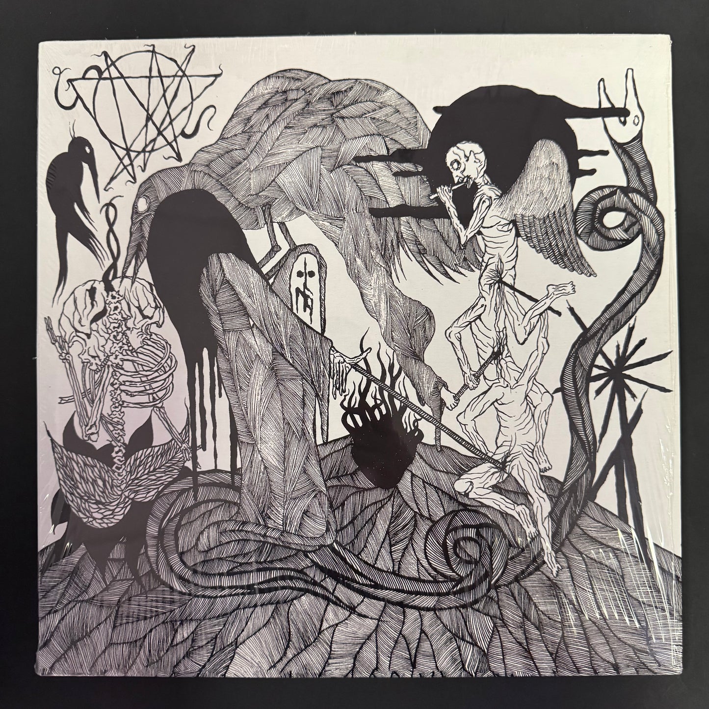 Dragged Into Sunlight - Widowmaker LP (used)