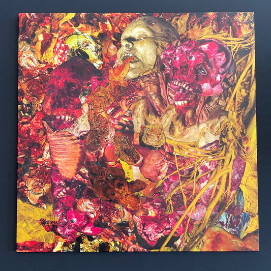 Fluids – Ignorance Exalted LP (used)