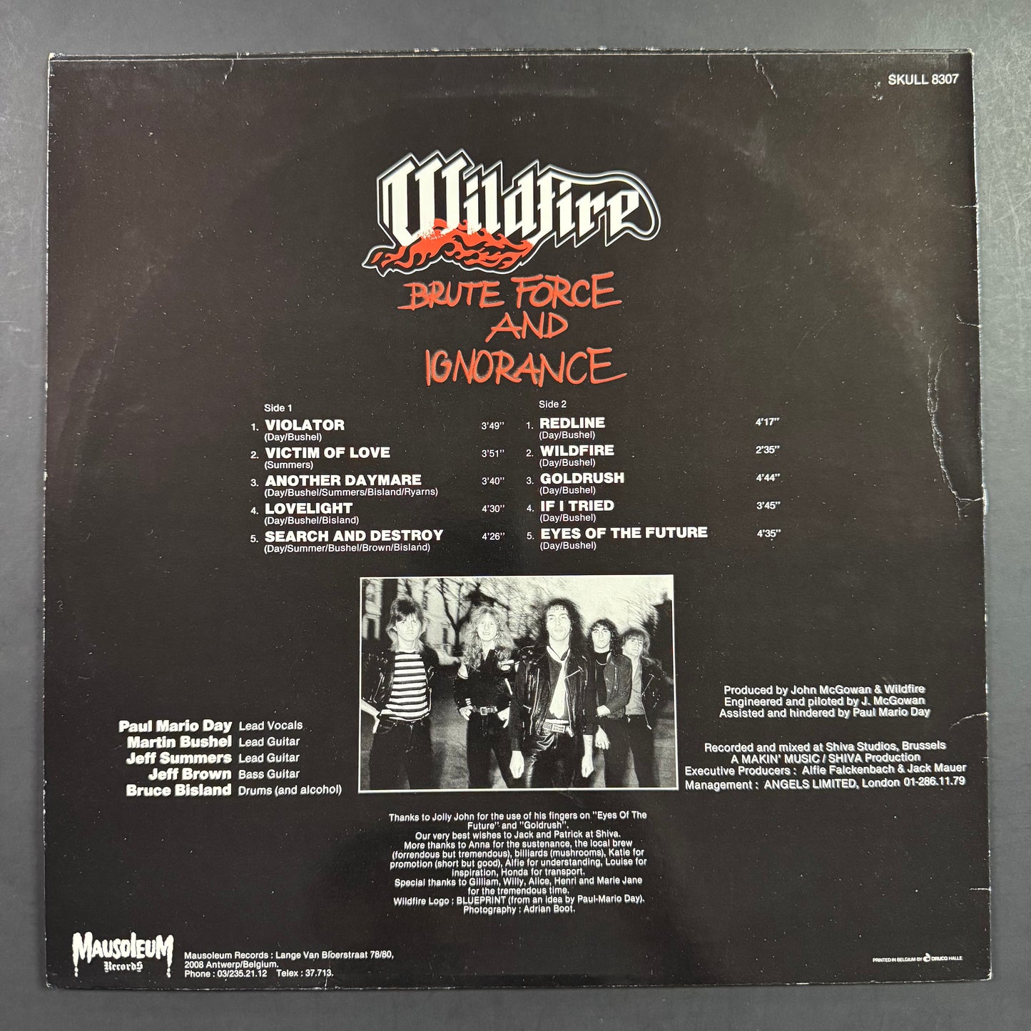 Wildfire - Brute Force and Ignorance original LP (used)