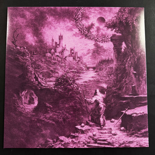 Devil Master - Ecstasies of Never Ending Night original LP (used)