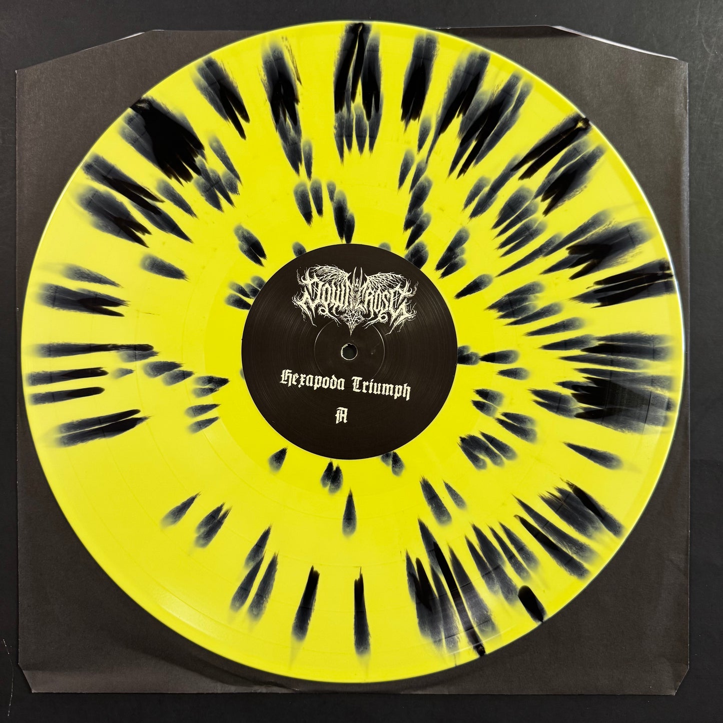 Downcross - Hexapoda Triumph LP (used)