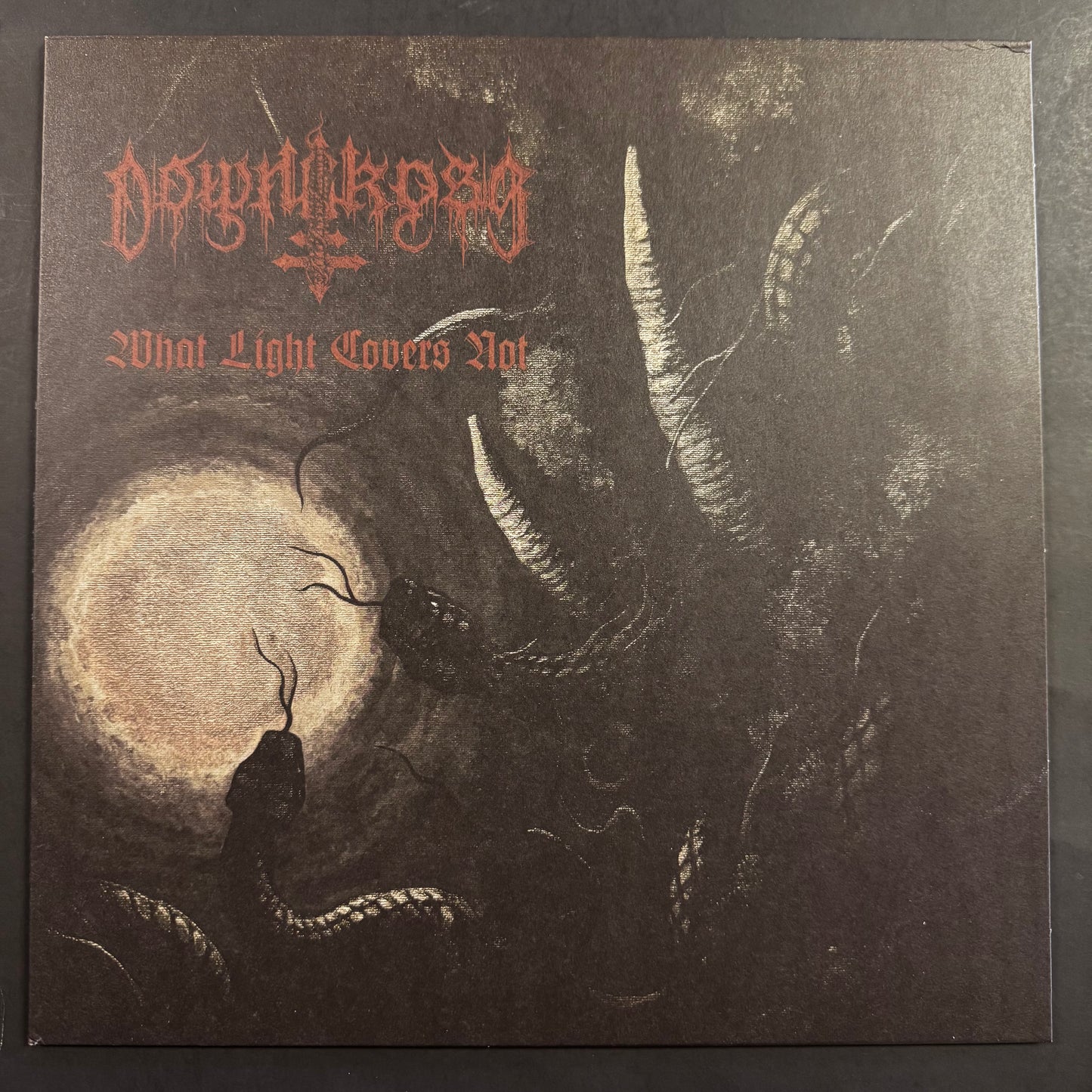 Downcross - What Light Covers Not LP (used)