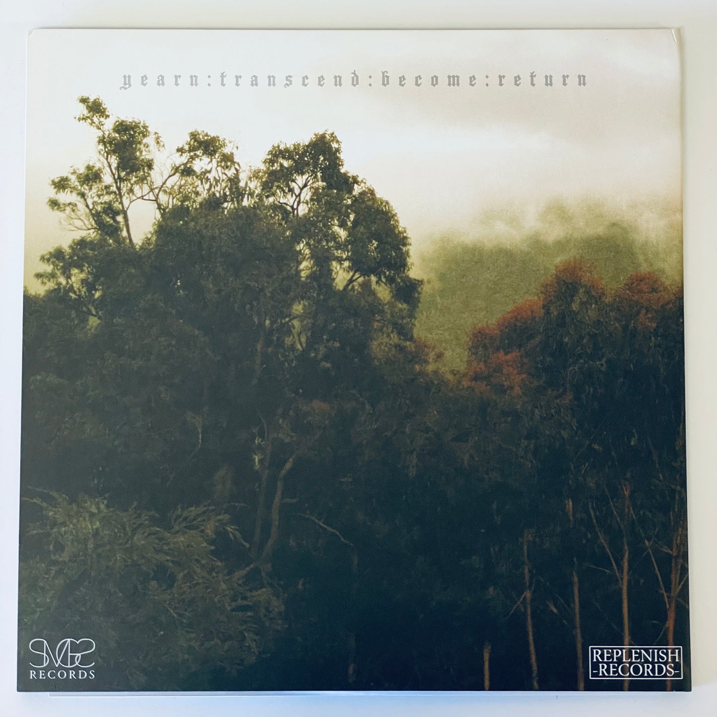 Encircling Sea – A Forgotten Land LP (used)