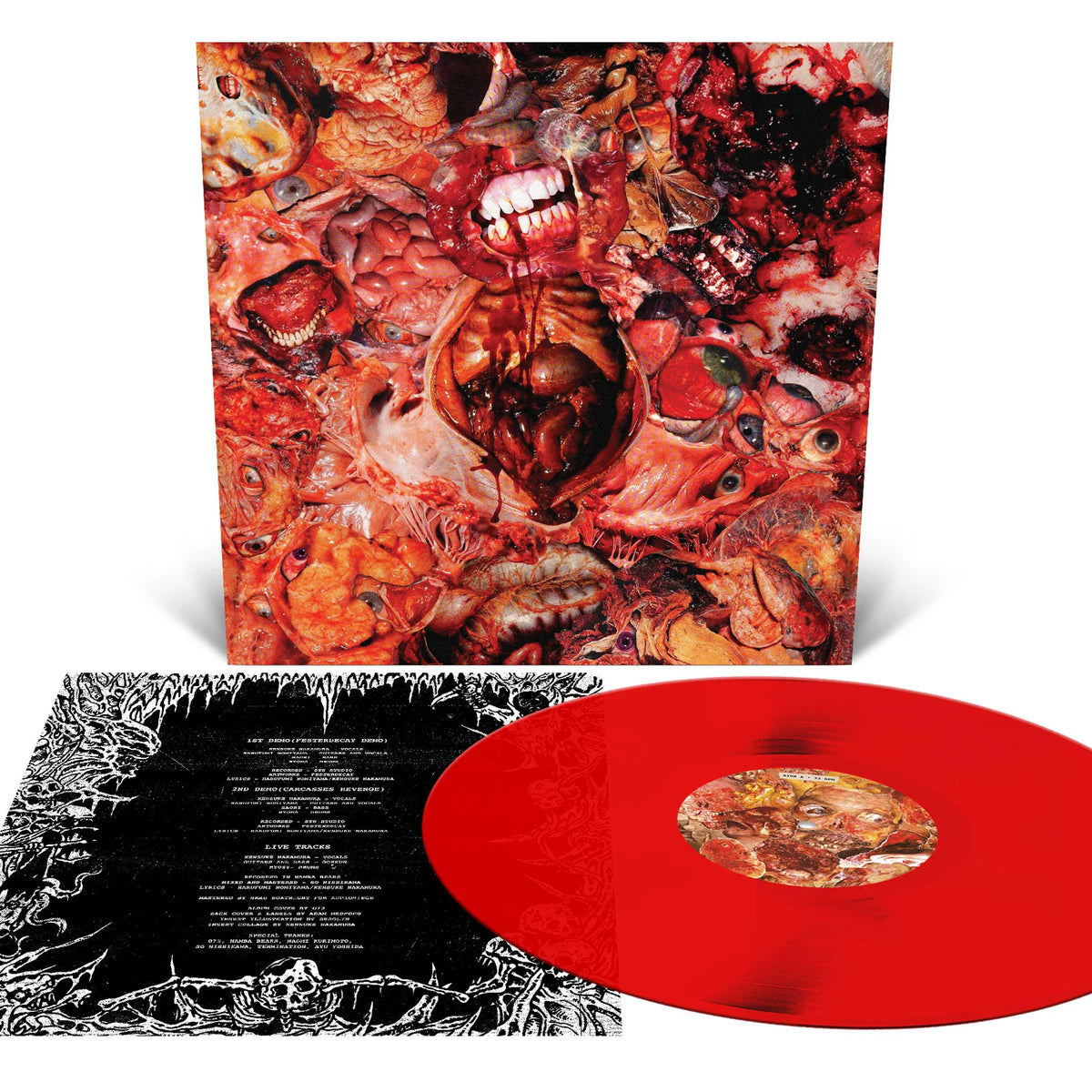 FesterDecay - From Demo to Rot LP